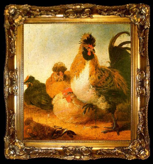 framed  Aelbert Cuyp Rooster Hens, ta009-2
